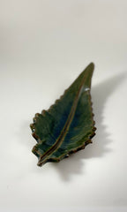 Becky Olinger Dish